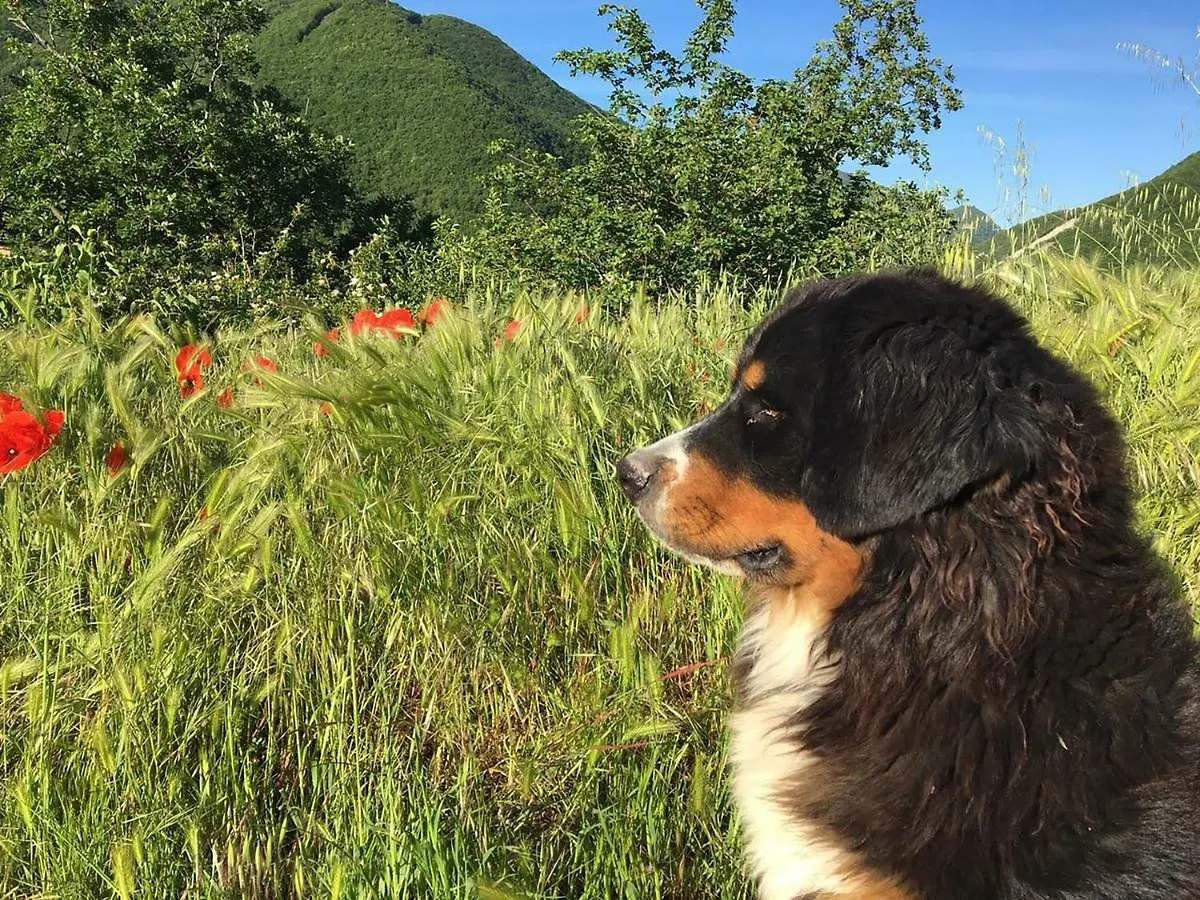 La Locanda nel vento Calestano